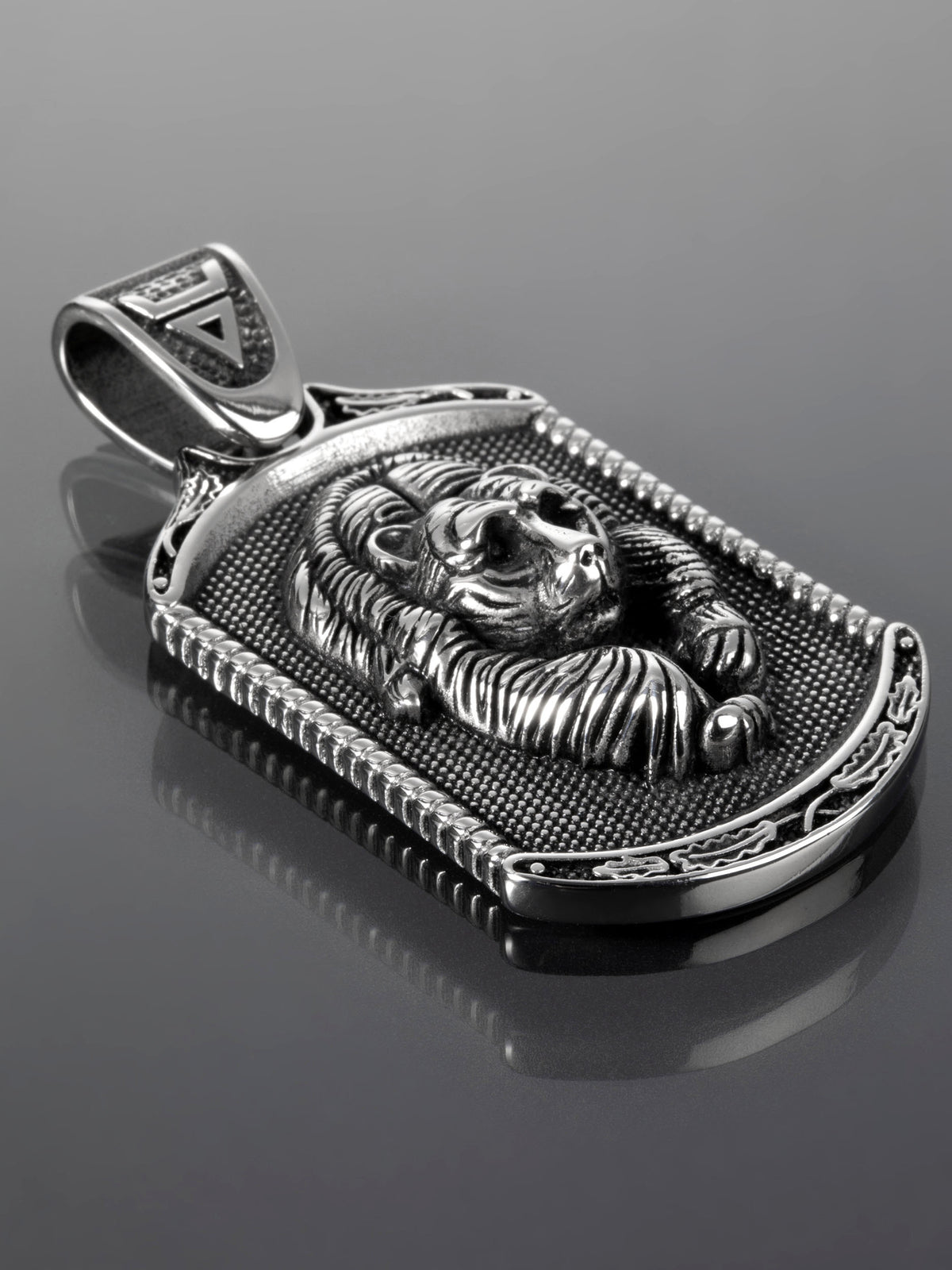 Krásný amulet z chirurgické oceli ve tvaru psí známky s medvědem  PK1370-0137