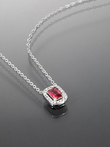 Elegantní náhrdelník z chirurgické oceli s červeným krystalem NK1686-0112