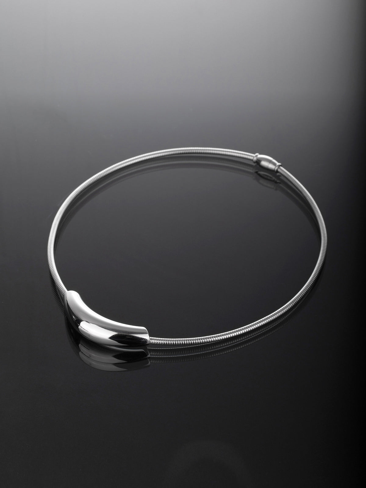 Elegantní náhrdelník z chirurgické oceli NK1713-0112