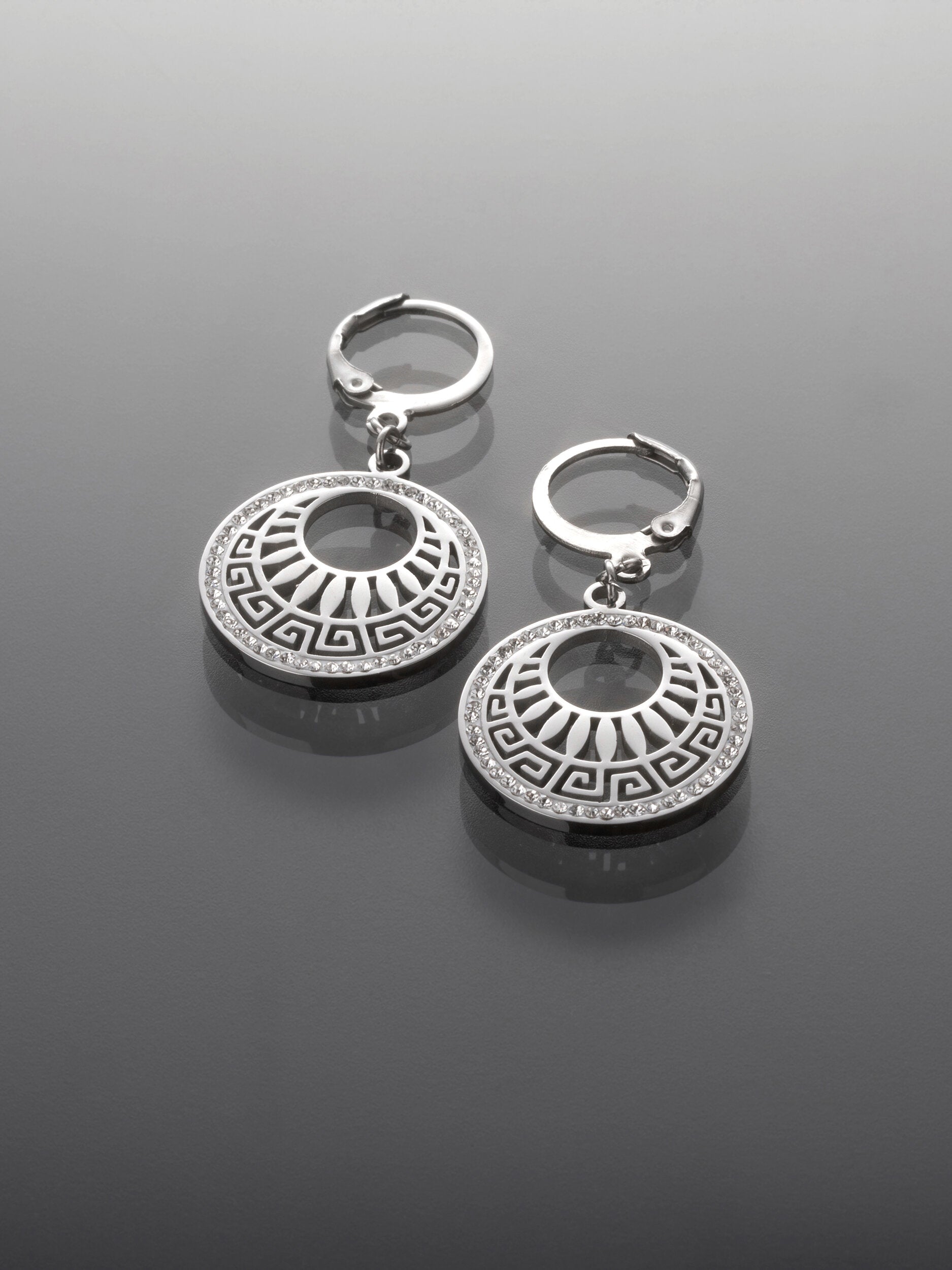 Náušničky z chirurgické oceli s kroužkem NE3086-0112