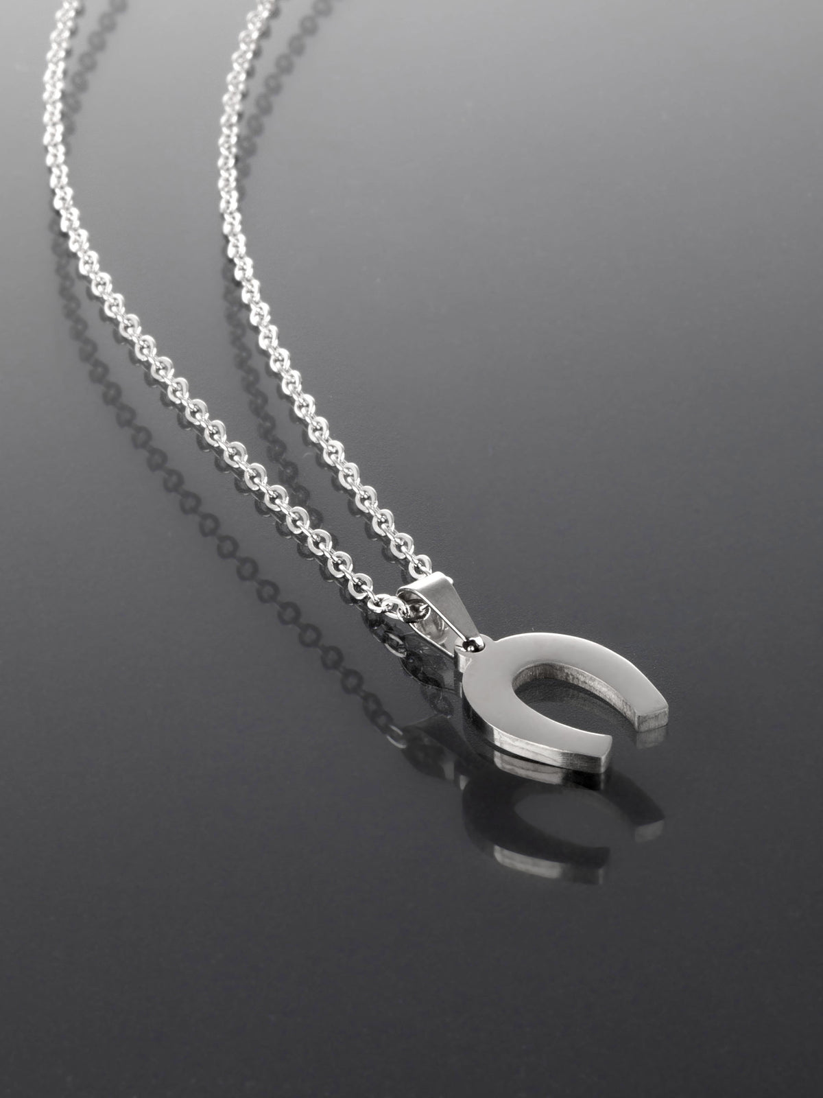 Luxusní náhrdelník z chirurgické oceli s podkovou  NK1135-0112