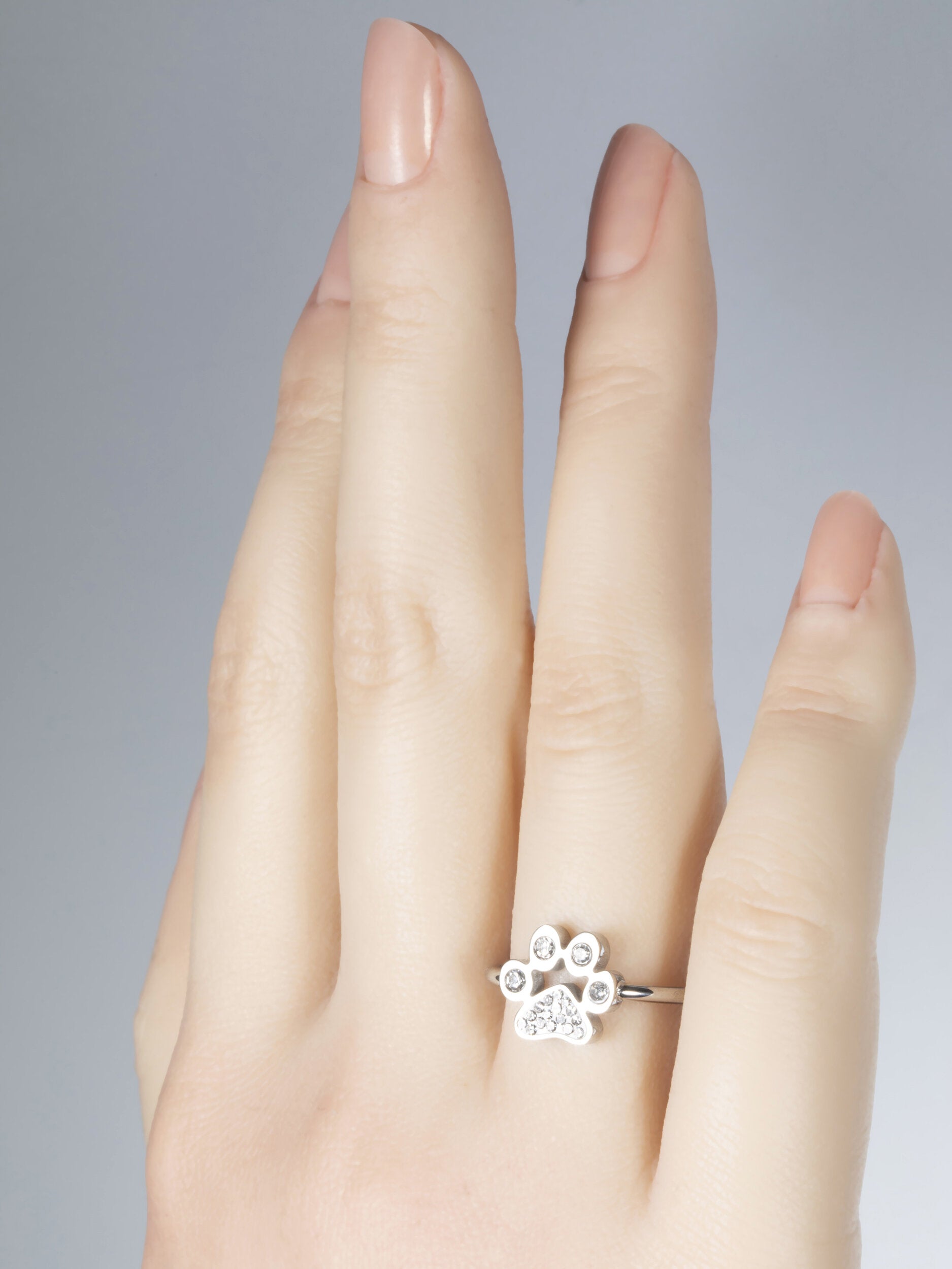 Krásný moderní prstýnek z chirurgické oceli s tlapkou s drobnými čirými krystaly PR0354-016112