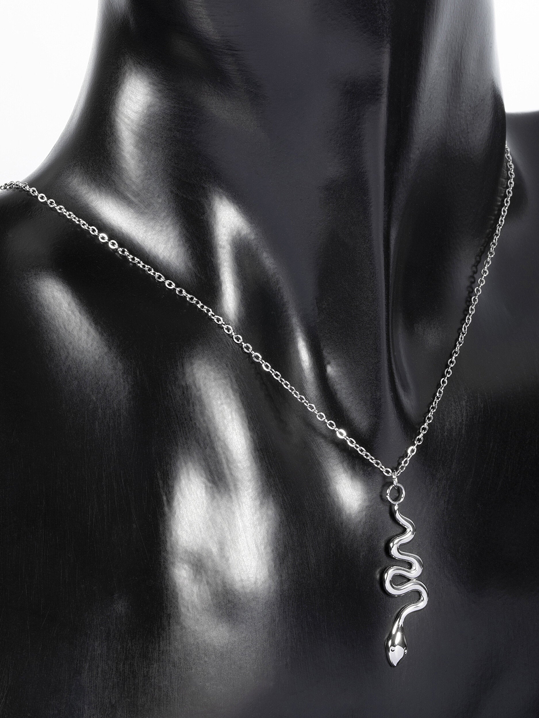 Stylový náhrdelník z leštěné chirurgické oceli s přívěškem ve tvaru hádka NK1349-0107
